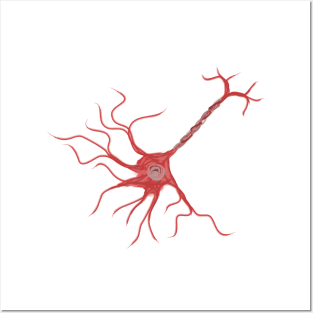 Watercolor Neuron Posters and Art